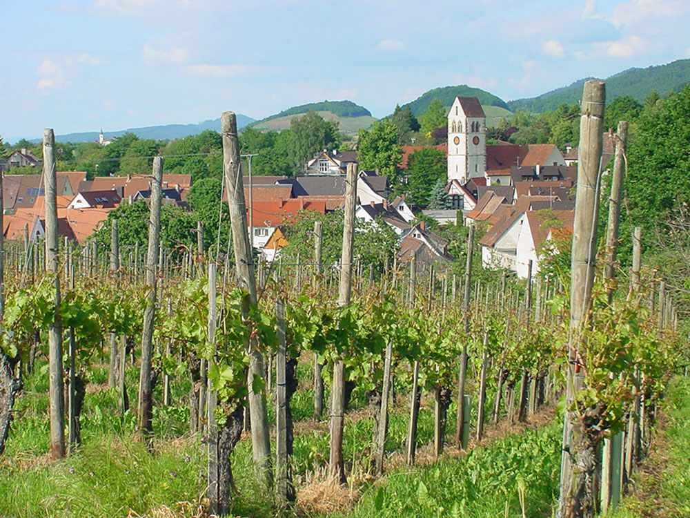 Stadt Müllheim - Britzingen im Markgräflerland